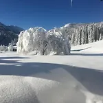 Gruppenferienwohnung Am Auweg Apartamento Hirschegg (Vorarlberg)