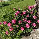 Gruppenferienwohnung Am Auweg דירה