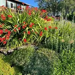 Gruppenferienwohnung Am Auweg Apartamento Hirschegg (Vorarlberg)