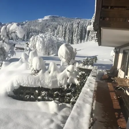 Gruppenferienwohnung Am Auweg Hirschegg (Vorarlberg)