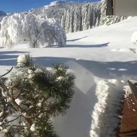 Gruppenferienwohnung Am Auweg アパート ヒルシュエック