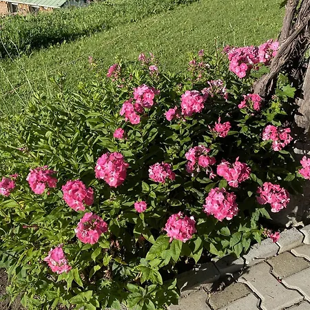 Gruppenferienwohnung Am Auweg ヒルシュエック